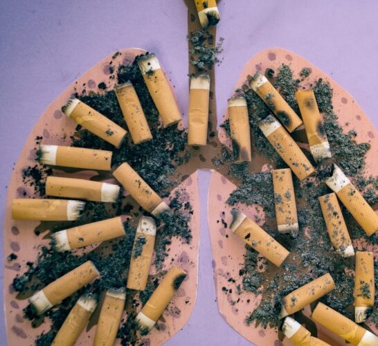 Lungs image made from cigarette butts